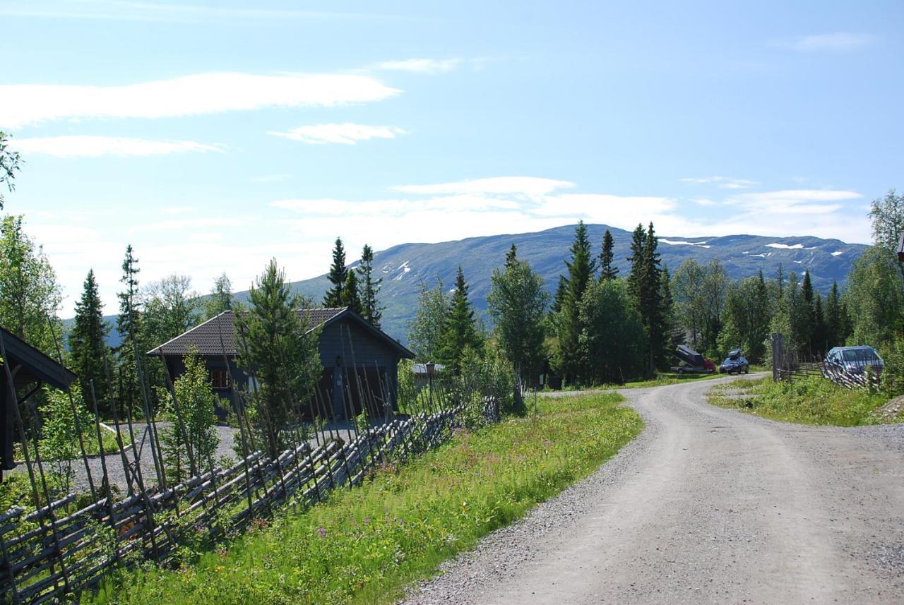 Ottsjoe Bear Lodge Eksteriør billede